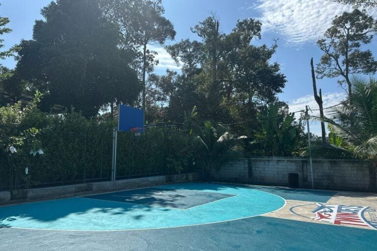 TwinJets Half court basketball